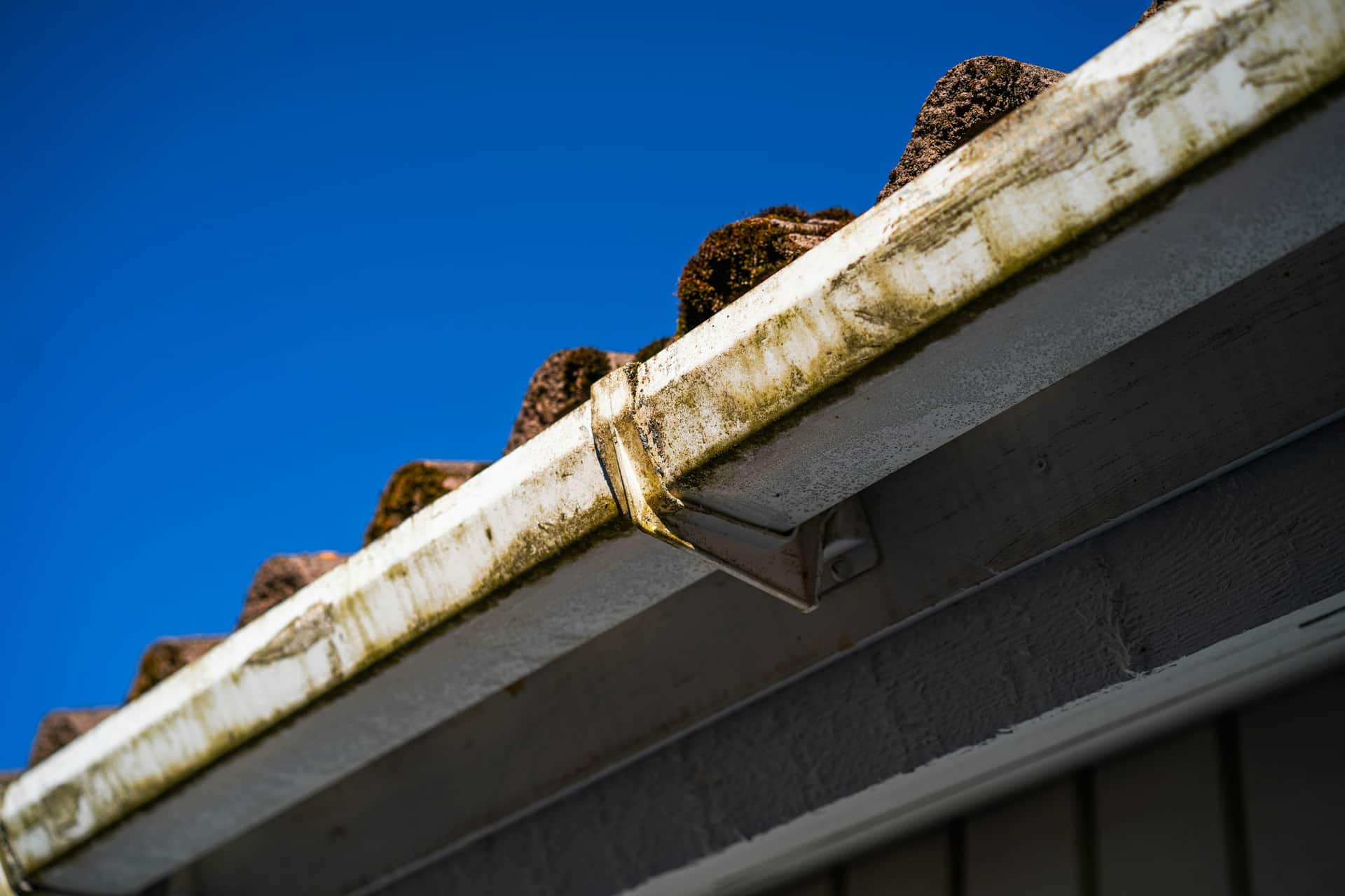 Tan oxidation streaks running down the face of a white gutter against blue sky